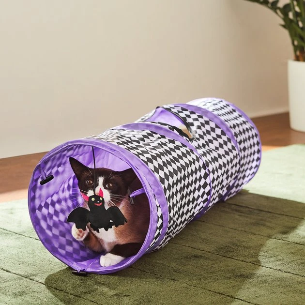 Frisco Halloween Checkered Foldable Play Tunnel Cat Toy with Catnip 5 Frisco Halloween Checkered Foldable Play Tunnel Cat Toy with Catnip - Image 3