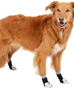 Frisco Non-Skid Dog Socks, Black -Frisco Sales 2024 272491 PT2. SY630 V1634829737