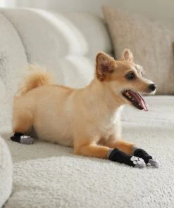 Frisco Non-Skid Dog Socks, Black -Frisco Sales 2024 272491 PT8. SY630 V1634830475