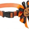 Frisco Orange Glitter Dog Collar with Pumpkin Ribbon 1 Frisco Orange Glitter Dog Collar with Pumpkin Ribbon -Frisco Sales 2024 272844 MAIN. SY630 V1624047756