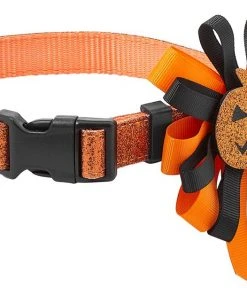 Frisco Orange Glitter Dog Collar with Pumpkin Ribbon