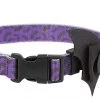 Frisco Purple Bat Wing Dog Collar with Wings 2 Frisco Purple Bat Wing Dog Collar with Wings -Frisco Sales 2024 272852 MAIN. SY630 V1624046568