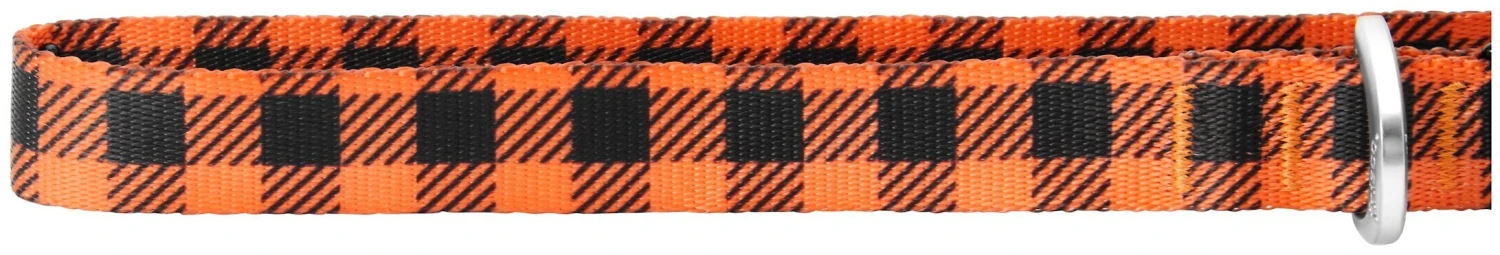 Frisco Halloween Plaid Dog Collar with Bow 5 Frisco Halloween Plaid Dog Collar with Bow - Image 3