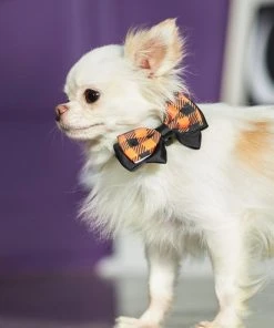 Frisco Removable Halloween Plaid Collar Bow 5 Frisco Removable Halloween Plaid Collar Bow -Frisco Sales 2024 272875 PT8. SY630 V1623879534