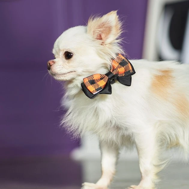 Frisco Removable Halloween Plaid Collar Bow, X-Small/Small Frisco Removable Halloween Plaid Collar Bow -Frisco Sales 2024 272875 PT8. SY630 V1623879534