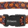 Frisco Spooky Pumpkin Dog Collar 2 Frisco Spooky Pumpkin Dog Collar -Frisco Sales 2024 272878 MAIN. SY630 V1624047448