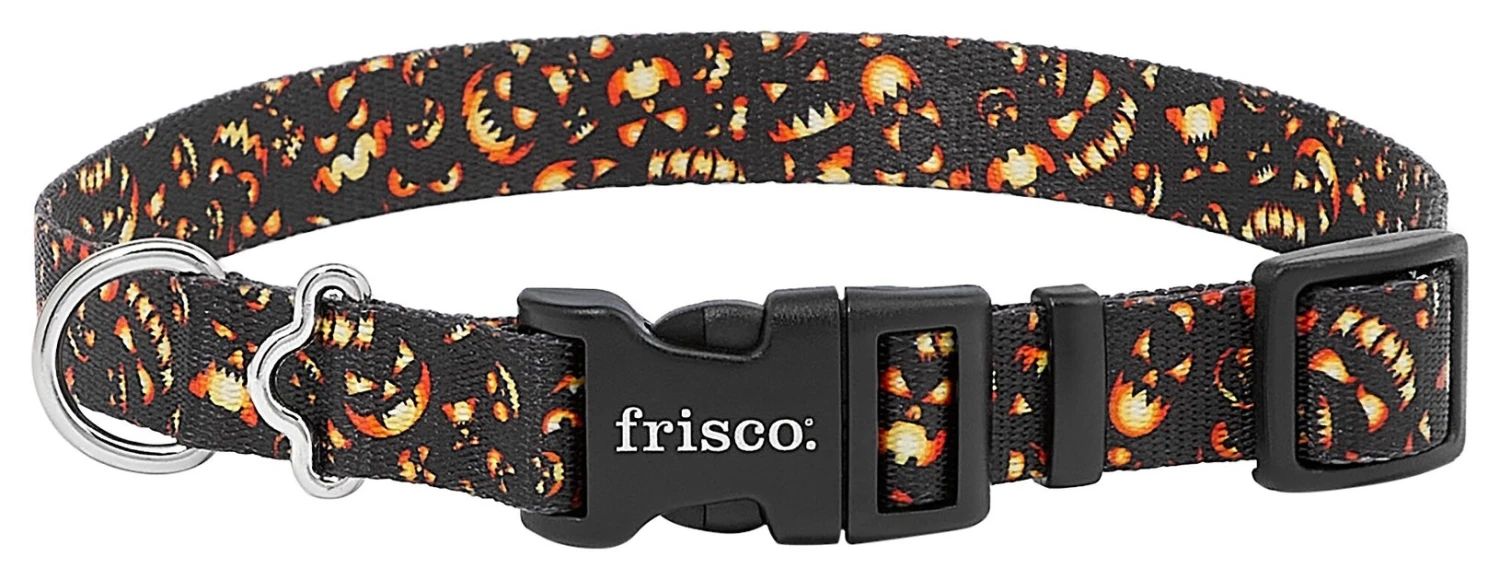 Frisco Scary Pumpkins Dog Collar 3 Frisco Scary Pumpkins Dog Collar