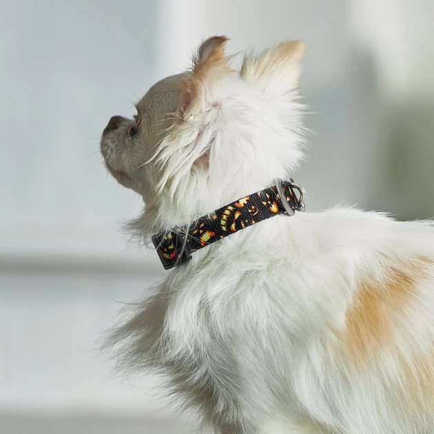 Frisco Scary Pumpkins Dog Collar 6 Frisco Scary Pumpkins Dog Collar - Image 4