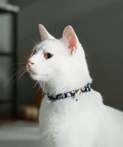 Frisco Flying Ghosts Cat Collar 9 Frisco Flying Ghosts Cat Collar -Frisco Sales 2024 272888 PT8. SY630 V1623879659