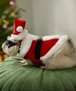 Frisco Santa Claus Guinea Pig Costume, One Size 13 Frisco Santa Claus Guinea Pig Costume, One Size -Frisco Sales 2024 276178 PT8. SY630 V1631302737