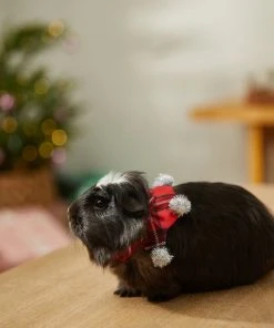 Frisco Red Plaid Guinea Pig Ruffle Collar with Pom Poms, One Size -Frisco Sales 2024 276180 PT8. SY630 V1631302812