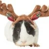 Frisco Holiday Antlers Guinea Pig Headpiece 2 Frisco Holiday Antlers Guinea Pig Headpiece -Frisco Sales 2024 276182 MAIN. SY630 V1631303077