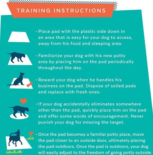 Frisco Training & Potty Pads, 22-in x 23-in, 150 count, Unscented & Frisco Extra Large Training & Potty Pads, 28-in x 34-in, 40 count, Unscented 11 Frisco Training & Potty Pads, 22-in x 23-in, 150 count, Unscented & Frisco Extra Large Training & Potty Pads, 28-in x 34-in, 40 count, Unscented - Image 9