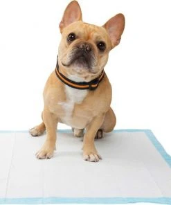 Frisco Giant Training & Potty Pads, 27.5-in x 44-in, 30 count, Unscented & Frisco Training & Potty Pads, 22-in x 23-in, 150 count, Unscented -Frisco Sales 2024 276225 PT7. SY630 V1616195514