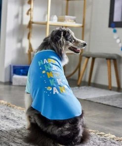 Frisco Happy Hanukkah Dog & Cat T-shirt 14 Frisco Happy Hanukkah Dog & Cat T-shirt -Frisco Sales 2024 276479 PT5. SY630 V1637726823