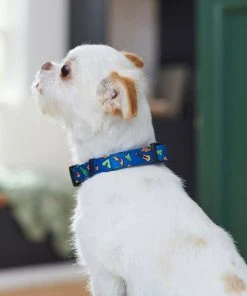 Frisco Camping Fun Dog Collar -Frisco Sales 2024 276637 PT3. SY630 V1623766574