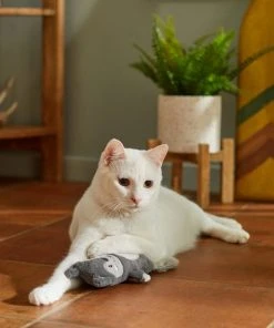 Frisco Camping Squirrel Kicker Cat Toy with Catnip 7 Frisco Camping Squirrel Kicker Cat Toy with Catnip -Frisco Sales 2024 276760 PT3. SY630 V1625009108