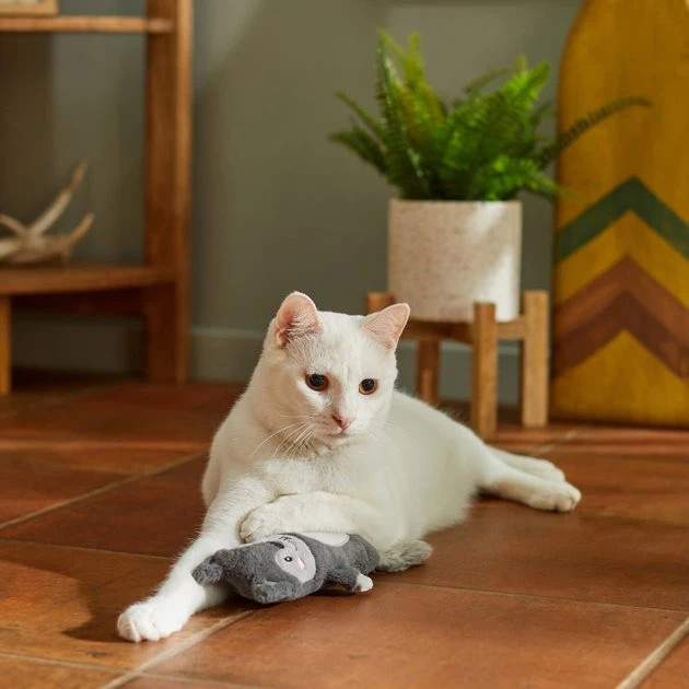 Frisco Camping Squirrel Kicker Cat Toy with Catnip 5 Frisco Camping Squirrel Kicker Cat Toy with Catnip - Image 3