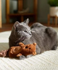 Frisco Camping Bear Kicker Cat Toy with Catnip -Frisco Sales 2024 276762 PT3. SY630 V1625009229