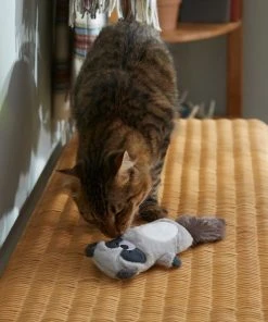 Frisco Camping Raccoon Kicker Cat Toy with Catnip -Frisco Sales 2024 276766 PT3. SY630 V1625008987