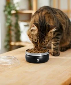 Frisco Travel Non-skid Stainless Steel Dog & Cat Bowl -Frisco Sales 2024 277499 PT3. SY630 V1630348135