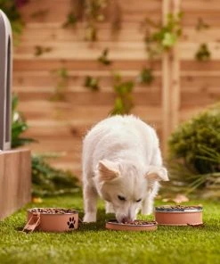 Frisco Complete Travel Stainless Steel Dog & Cat Feeder Bowl 11 Frisco Complete Travel Stainless Steel Dog & Cat Feeder Bowl -Frisco Sales 2024 277506 PT2. SY630 V1630346239