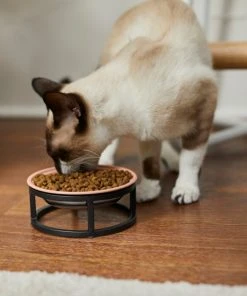 Frisco Paw Print Elevated Stainless Steel Dog & Cat Bowl -Frisco Sales 2024 277513 PT3. SY630 V1630348076