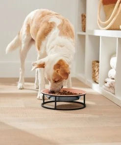 Frisco Elevated Non-skid Stainless Steel Dog & Cat Bowl -Frisco Sales 2024 277523 PT2. SY630 V1630346993