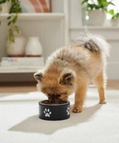 Frisco Paw Print Non-Skid Stainless Steel Dog & Cat Bowl -Frisco Sales 2024 277541 PT2. SY630 V1630346506