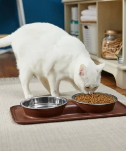 Frisco Double Stainless Steel Dog & Cat Bowl with Silicone Mat -Frisco Sales 2024 277551 PT3. SY630 V1630348104