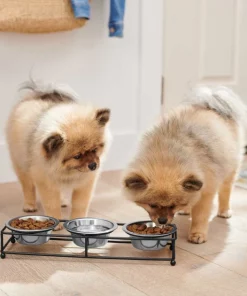 Frisco Straight Triple Feeder Stainless Steel Dog & Cat Bowl -Frisco Sales 2024 277568 PT2. SY630 V1630346795