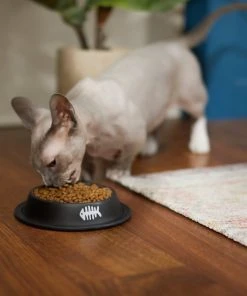 Frisco Fish Bone Print Non-Skid Stainless Steel Cat Bowl -Frisco Sales 2024 277582 PT3. SY630 V1630348120