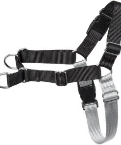 Frisco Basic No Pull Harness