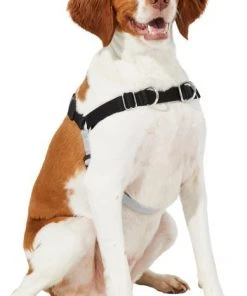 Frisco Basic No Pull Harness -Frisco Sales 2024 277871 PT3. SY630 V1629755870