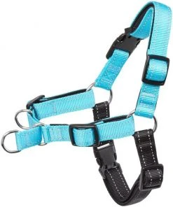 Frisco Padded Reflective No Pull Harness