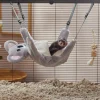 Frisco Small Pet Hanging Koala Bed -Frisco Sales 2024 278140 MAIN. SY630 V1629465091