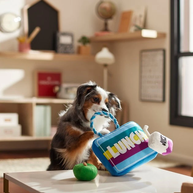 Frisco Lunchbox with Juice & Apple Plush with Rope Squeaky Dog Toy, 3 count 5 Frisco Lunchbox with Juice & Apple Plush with Rope Squeaky Dog Toy, 3 count - Image 3