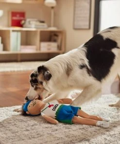 Frisco Gym Teacher Plush Squeaky Dog Toy -Frisco Sales 2024 279447 PT3. SY630 V1628191161