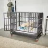 Frisco Ultimate Foldable & Stackable Heavy Duty Steel Metal Single Door Dog Crate 2 Frisco Ultimate Foldable & Stackable Heavy Duty Steel Metal Single Door Dog Crate -Frisco Sales 2024 280102 MAIN. SY630 V1632851483
