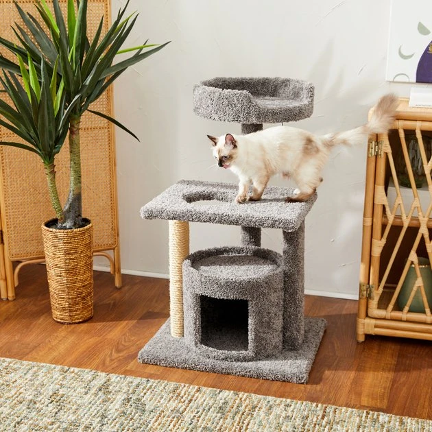 Frisco 42-in Real Carpet Cat Tree with Condo, Grey 3 Frisco 42-in Real Carpet Cat Tree with Condo, Grey