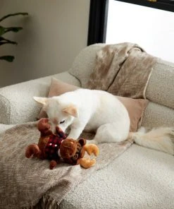 Frisco Hipster Moose Plush Squeaky Dog Toy 7 Frisco Hipster Moose Plush Squeaky Dog Toy -Frisco Sales 2024 285603 PT3. SY630 V1629725389