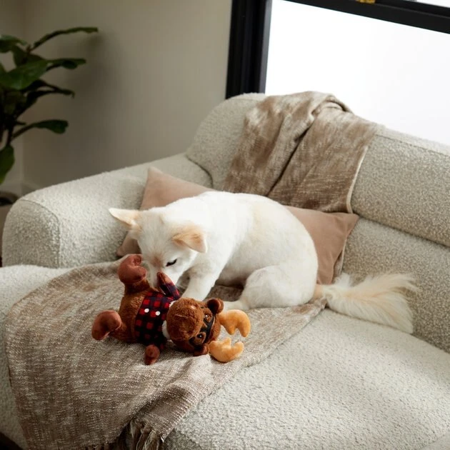 Frisco Hipster Moose Plush Squeaky Dog Toy 5 Frisco Hipster Moose Plush Squeaky Dog Toy - Image 3