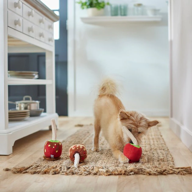 Frisco Candy Apples Plush Squeaky Dog Toy, 3 count 5 Frisco Candy Apples Plush Squeaky Dog Toy, 3 count - Image 3