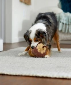 Frisco Fall Acorn Plush Squeaky Dog Toy -Frisco Sales 2024 285623 PT3. SY630 V1629725222