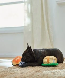 Frisco Pancakes & Maple Syrup Plush Squeaky Dog Toy, 2 count 4 Frisco Pancakes & Maple Syrup Plush Squeaky Dog Toy, 2 count -Frisco Sales 2024 285627 PT3. SY630 V1629725170