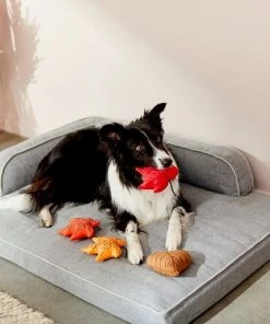 Frisco Fall Leaves Plush Squeaky Dog Toy, 4 count 7 Frisco Fall Leaves Plush Squeaky Dog Toy, 4 count -Frisco Sales 2024 285637 PT3. SY630 V1629725195