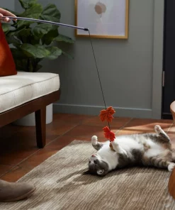 Frisco Fall Acorn & Leaves Teaser Cat Toy with Catnip -Frisco Sales 2024 285651 PT3. SY630 V1629725347