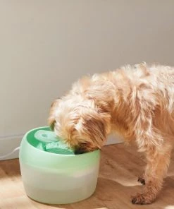 Frisco Whimsical Leaf Round Dog & Cat Fountain, 50-oz, Mint Green -Frisco Sales 2024 285758 PT4. SY630 V1623428580