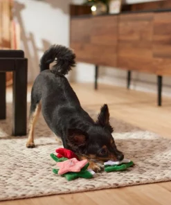 Frisco Flowers Plush Squeaky Dog Toy, 3 count -Frisco Sales 2024 287161 PT3. SY630 V1632773103