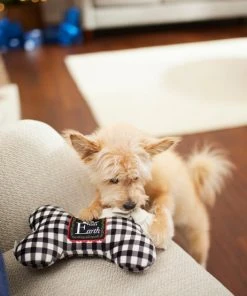 Frisco Holiday "All Is Bright" Reversible Bone Plush Squeaky Dog Toy 9 Frisco Holiday "All Is Bright" Reversible Bone Plush Squeaky Dog Toy -Frisco Sales 2024 287191 PT3. SY630 V1632773193